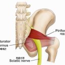 CM Fitness 이미지