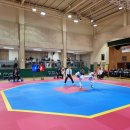 용인대 성민태권도 이미지