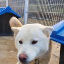 지현동사무소 이미지