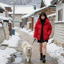 시골풍경 이미지