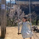 온새미로목장우유 | 아산 아이와 가볼만한 곳 외암민속마을 봄나들이, 가을축제기간 다녀온 후기(feat. 상전)