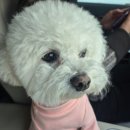 키즈빌리지 유치원 | 파주 스타필드빌리지 스타벅스/별마당도서관/아우디/키즈존 다녀온 후기⚠️사진 많음 ⚠️