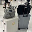 더 스탠다드 짐 이미지