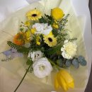 꼬모플레리 이미지