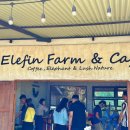 원식농장 | 태국 치앙마이 여행 코스 추천 코끼리 카페 엘리핀팜 투어 가격 비교