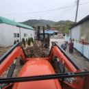 은주머리방 네이버블로그