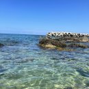 스테이수안 이미지