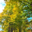 성호공원_식물원주변 이미지