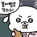 돼지네회포장마차