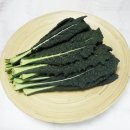 뉴그린팜 이미지