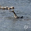 모천축산 이미지