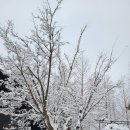 최평락한의원 이미지