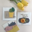 (주)무등산행 이미지