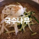 국수나무 굽은다리역 이미지