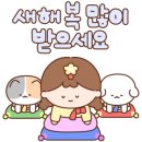한솔리치빌공인중개사사무소 이미지