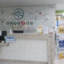 자연속애의원