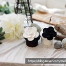 카멜리아플라워 이미지