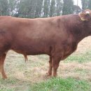 연한우목장 이미지