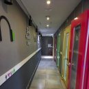 판싱코인 이미지