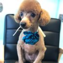 온블리살롱 이미지