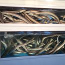 황가네 민박 이미지