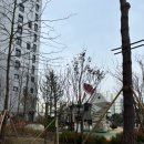 더설레임공인중개사사무소 이미지