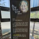 칼국수연구소 네이버블로그