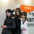 캣츠코리아 이미지