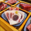 골드참치 이미지