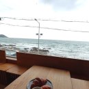 송정에너지 | 부산 송정 대형 카페 올드머그 바다뷰가 멋진 숲속의 카페 (애견동반 가능)