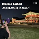 경주 야경투어 경주나드리 신라왕궁야행 솔직후기