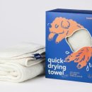 KNOLLO(놀로) 이미지