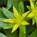 (특강)천공예 이미지