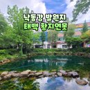 매봉산 지하수 옆 | 태백관광 낙동강발원지 황지연못 5000천 톤의 물이 솟아오르는 곳