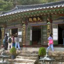 칠보초교 이미지