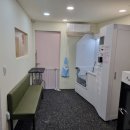 돈워리독 이미지