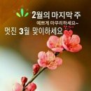 제주도방님들~ 2월마지막날- 행복한 3월 맞으세요 이미지