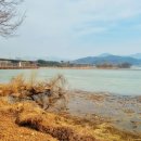 강산회 Daum카페