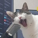 해변노래연습장 이미지