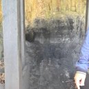시드니 블루마운틴 투어/제니 스팟/Linkoln's Rock/뭉쳐야 싸다 투어 후기/시닉 월드/태국 음식점...
