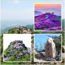 [제2,032차] 5월05일_ 경남 합천군 감암산(834m)&amp; 황매산 철쭉 산행안내 이미지