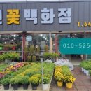 동백꽃백화점 이미지