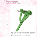 오버트플라워