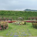 장성 꽃 화원 이미지