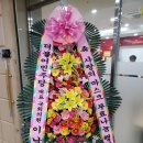 세왕기획 이미지