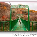 금빛농원 | 평창 허브나라농원 단풍 명소｜강원도 가볼 만한 곳, 향기로운 가을 정원에서 만난 붉은 단풍 여행 후기