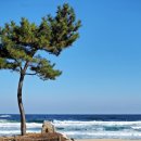 동해바다 이미지