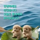 오늘도건강