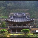 솔숲산
