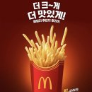 튀김마니아